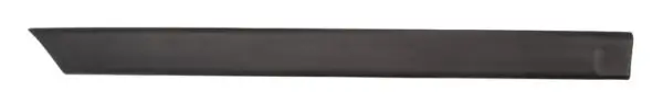 Zier-/Schutzleiste, Kotflügel hinten rechts BLIC 5703-04-2530574P