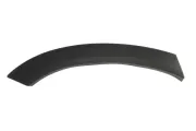 Zier-/Schutzleiste, Kotflügel hinten rechts BLIC 5703-04-3184474P