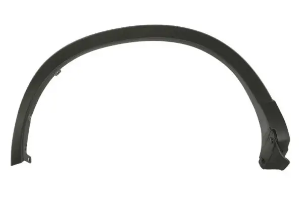 Zier-/Schutzleiste, Kotflügel hinten rechts BLIC 5703-04-3495596P