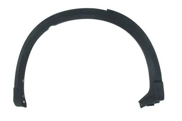 Zier-/Schutzleiste, Kotflügel hinten rechts BLIC 5703-04-3496592P