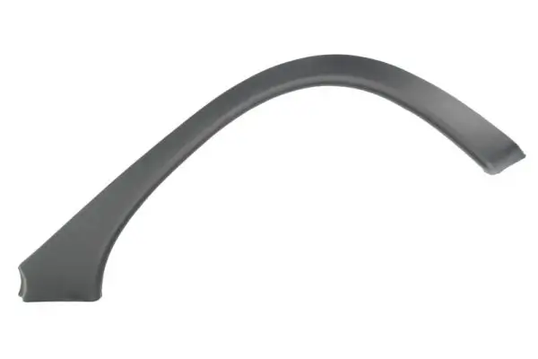 Zier-/Schutzleiste, Kotflügel hinten rechts BLIC 5703-04-5022596Q