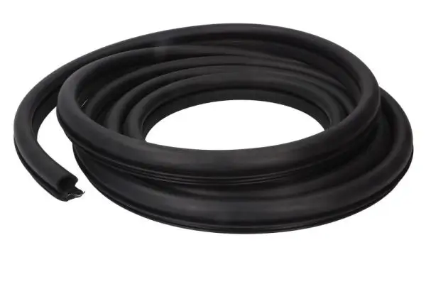 Türdichtung BLIC 5703-04-6010501P