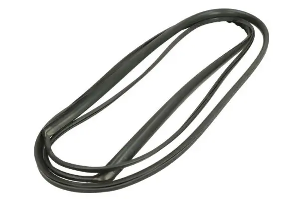 Zier-/Schutzleiste, Frontscheibe vorne rechts BLIC 5703-04-6037240Q