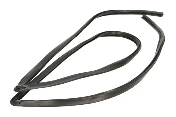 Zier-/Schutzleiste, Frontscheibe vorne rechts BLIC 5703-04-6037243Q