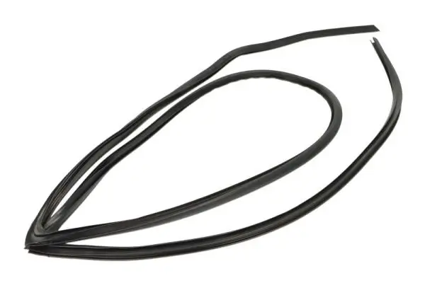 Zier-/Schutzleiste, Frontscheibe vorne rechts BLIC 5703-04-6037253Q