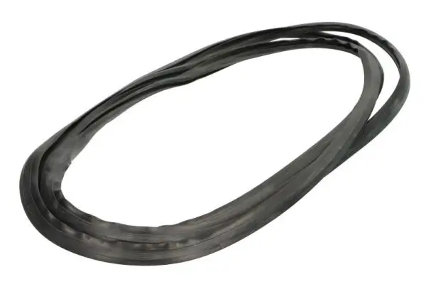 Zier-/Schutzleiste, Frontscheibe vorne rechts BLIC 5703-04-6037336Q