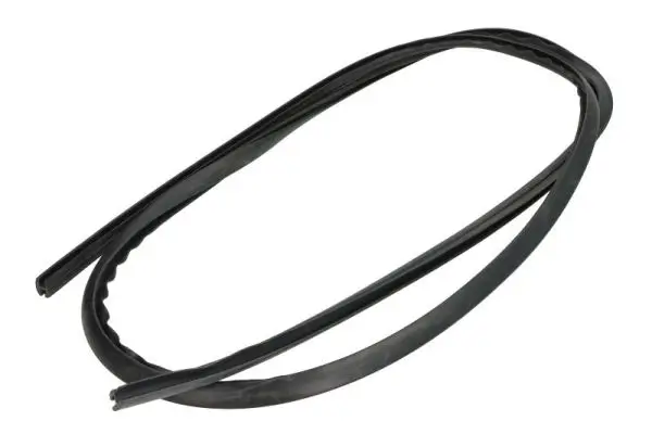 Zier-/Schutzleiste, Frontscheibe rechts vorne rechts BLIC 5703-04-6037403Q