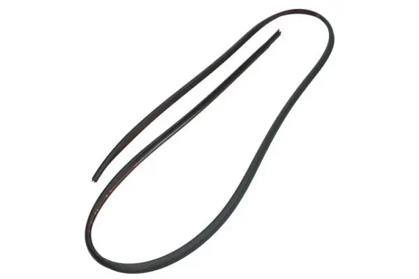 Zier-/Schutzleiste, Frontscheibe vorne rechts BLIC 5703-04-6037482Q