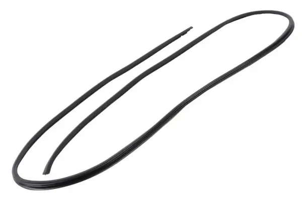 Zier-/Schutzleiste, Frontscheibe BLIC 5703-04-6037485Q