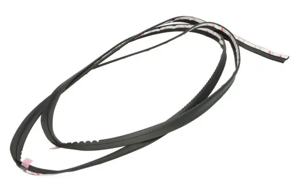 Zier-/Schutzleiste, Frontscheibe BLIC 5703-04-6037532Q