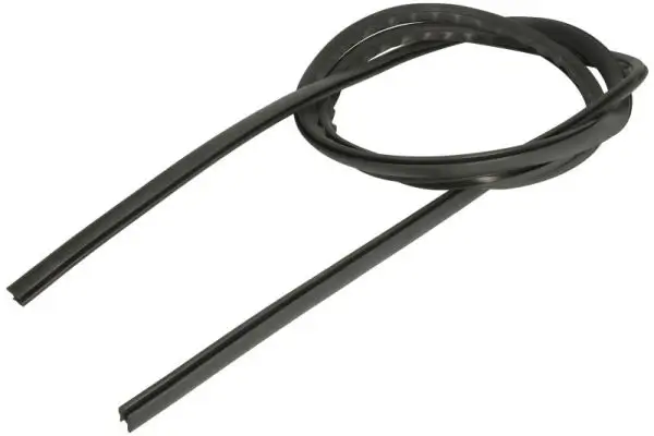 Zier-/Schutzleiste, Frontscheibe vorne rechts BLIC 5703-04-6037648Q