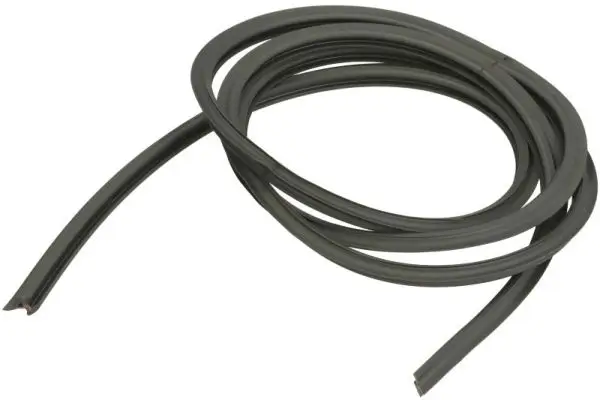 Zier-/Schutzleiste, Frontscheibe vorne rechts BLIC 5703-04-6037664Q