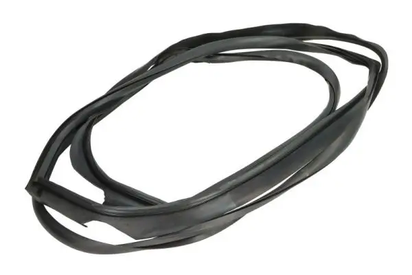 Zier-/Schutzleiste, Frontscheibe vorne rechts BLIC 5703-04-6037676Q