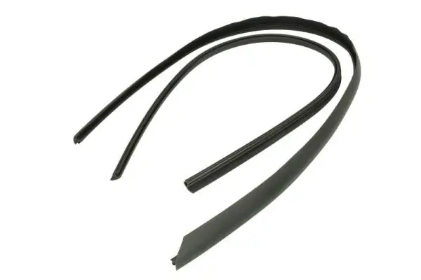 Zier-/Schutzleiste, Frontscheibe vorne rechts BLIC 5703-04-6037680Q