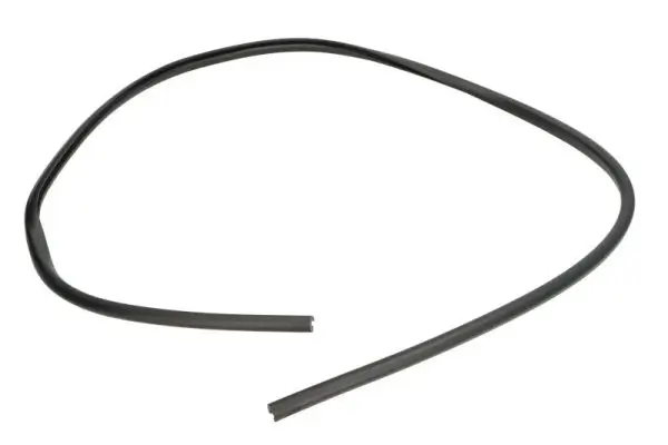 Zier-/Schutzleiste, Frontscheibe vorne rechts unten BLIC 5703-04-6037690Q