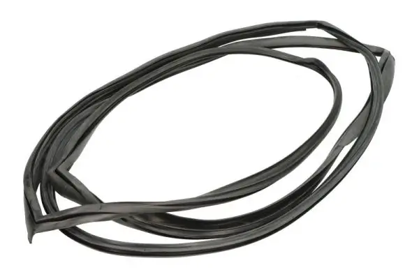 Zier-/Schutzleiste, Frontscheibe vorne rechts BLIC 5703-04-6037715Q