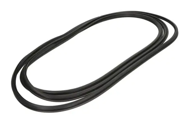 Zier-/Schutzleiste, Heckscheibe hinten rechts BLIC 5703-04-6038004Q