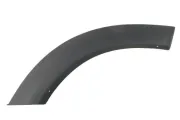 Zier-/Schutzleiste, Kotflügel hinten rechts BLIC 5703-04-8179596P