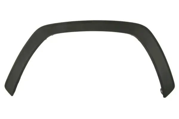 Zier-/Schutzleiste, Kotflügel vorne links BLIC 5703-04-8186595P