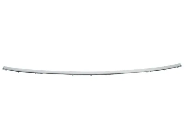 Zier-/Schutzleiste, Stoßfänger hinten BLIC 5703-05-0075977P