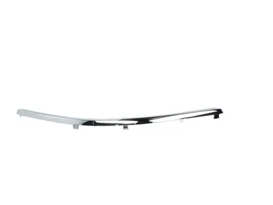 Zier-/Schutzleiste, Stoßfänger vorne rechts BLIC 5703-05-9539926P