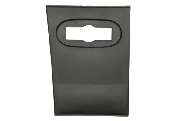 Zier-/Schutzleiste, Seitenwand vorne rechts BLIC 5703-06-3547572P