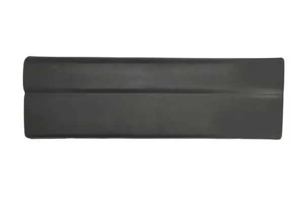 Zier-/Schutzleiste, Tür hinten rechts BLIC 5703-06-6089572P