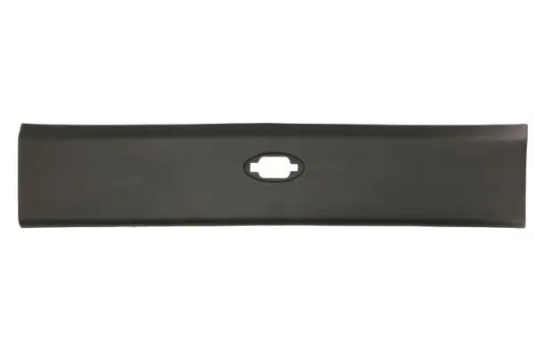 Zier-/Schutzleiste, Seitenwand vorne rechts BLIC 5703-06-6089574P