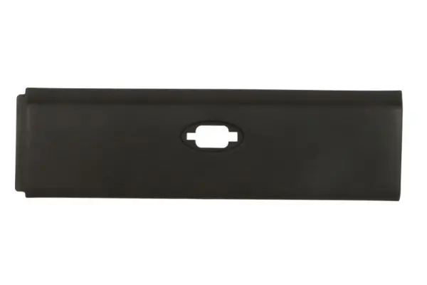 Zier-/Schutzleiste, Seitenwand vorne links BLIC 5703-06-6089575DP
