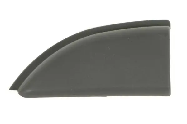 Zier-/Schutzleiste, Seitenwand vorne links BLIC 5703-06-6089579P