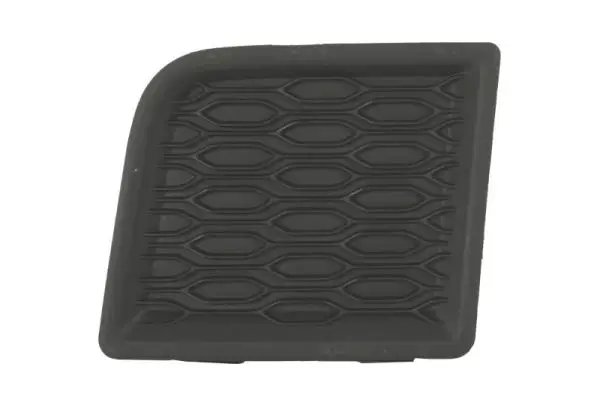 Zier-/Schutzleiste, Kotflügel vorne rechts BLIC 5703-08-1306372P