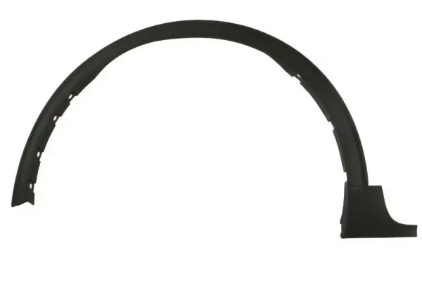 Zier-/Schutzleiste, Kotflügel vorne links BLIC 5703-08-2596371P