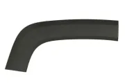 Zier-/Schutzleiste, Kotflügel hinten rechts BLIC 5703-08-3216374P
