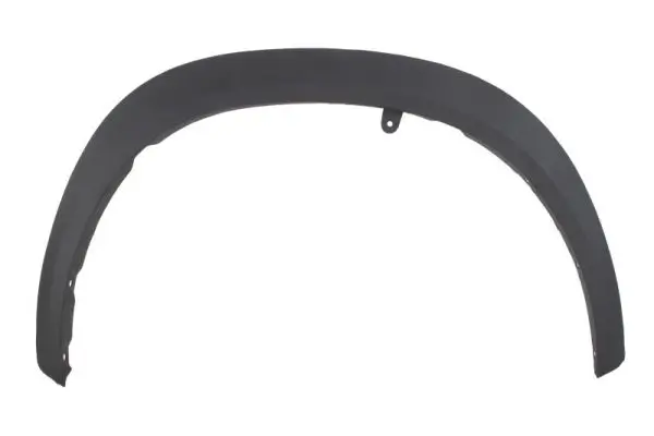 Zier-/Schutzleiste, Kotflügel vorne rechts BLIC 5703-08-8166372P