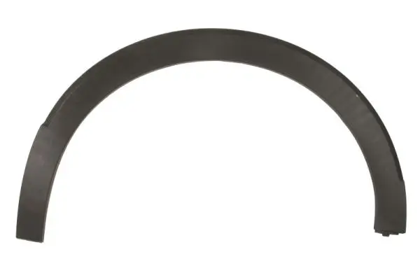 Zier-/Schutzleiste, Kotflügel hinten rechts BLIC 5703-08-9597374P