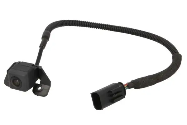 Rückfahrkamera, Einparkhilfe BLIC 6006-00-0009PP