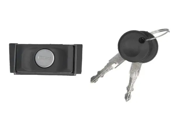 Türaußengriff hinten links BLIC 6010-01-016427P