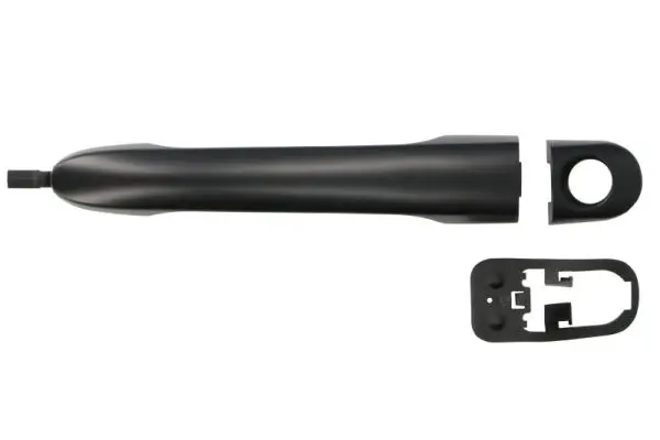 Türaußengriff links BLIC 6010-03-048401P