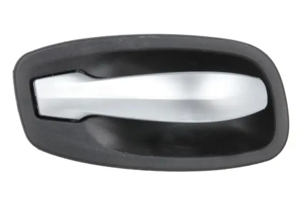 Türgriff, Innenausstattung vorne und hinten links BLIC 6010-05-017409PP