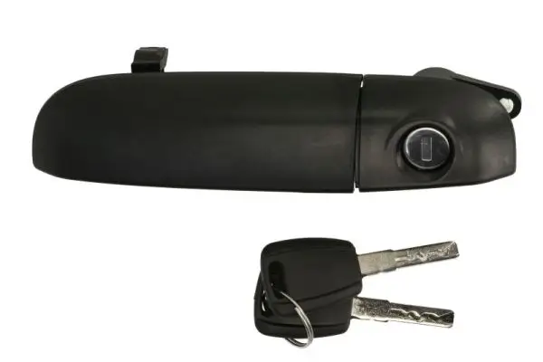 Türaußengriff außen vorne links BLIC 6010-07-0335401PP