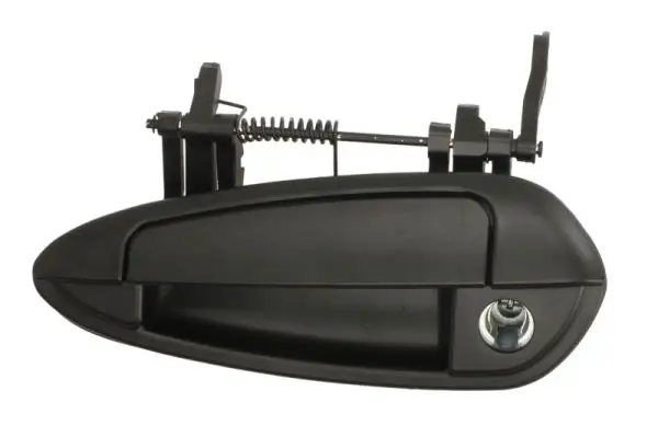 Türaußengriff vorne links BLIC 6010-07-036401PP