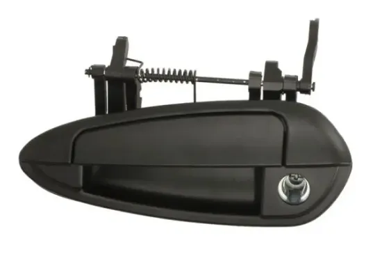 Türaußengriff vorne links BLIC 6010-07-036401PP Bild Türaußengriff vorne links BLIC 6010-07-036401PP