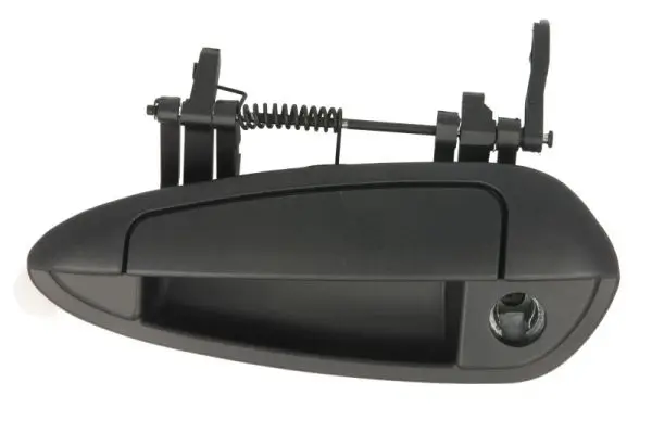 Türaußengriff vorne links BLIC 6010-07-036401P