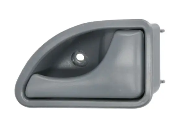 Türgriff, Innenausstattung innen BLIC 6010-09-029408PPD