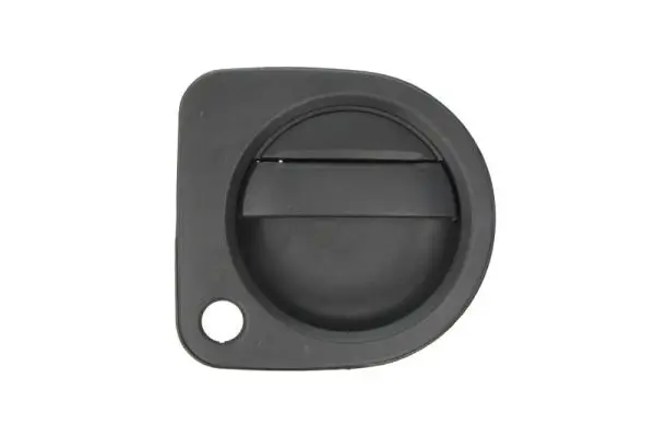 Türaußengriff rechts BLIC 6010-09-065402P