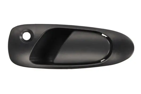 Türaußengriff vorne links BLIC 6010-12-017401P