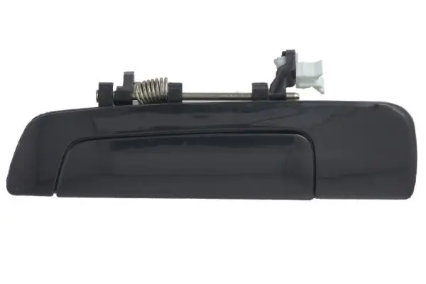 Türaußengriff hinten links BLIC 6010-15-029403P