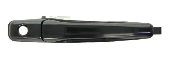 Türaußengriff vorne rechts BLIC 6010-15-038402P