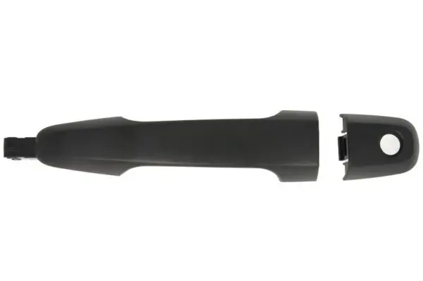 Türaußengriff vorne rechts BLIC 6010-15-041402P