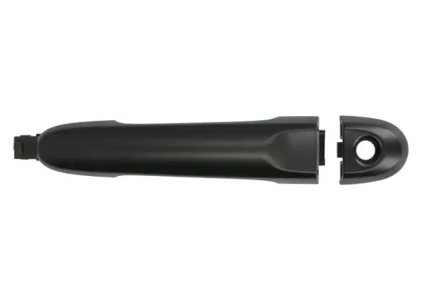 Türaußengriff vorne links BLIC 6010-16-059401P